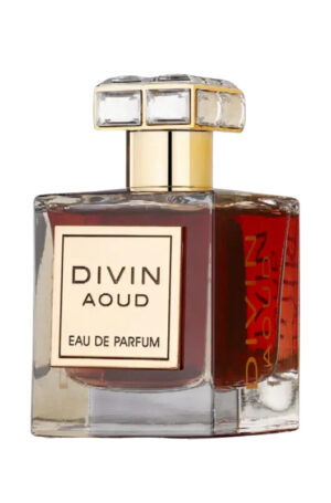 Perfume Divin Aoud - EDP - 100ml