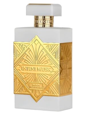 Perfume Infini Musk- EDP- 100ml